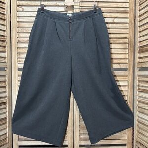 GAP Retro High Rise Wide Leg Crop Pants Charcoal Gray Pleated O-Ring Zip 12